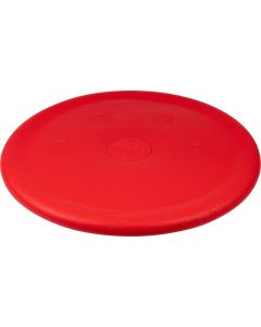 Active Learning Floor Balance Disc