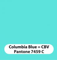 Colombia Blue Vinyl Color for Scorers Tables and Team Chairs